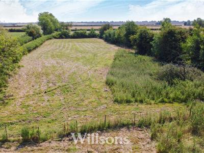Grass Paddock